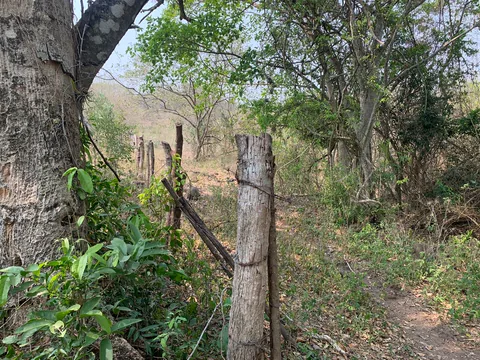Cercado de postes de madera con alambre junto a un árbol grande