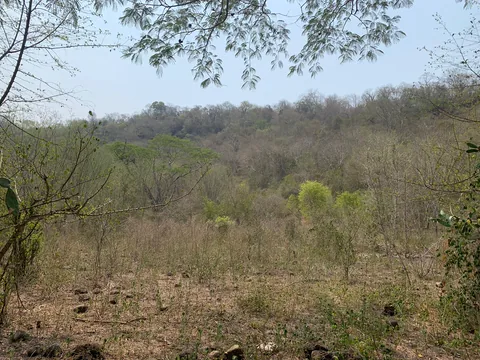Vista del terreno con vegetación y lomerío al fondo